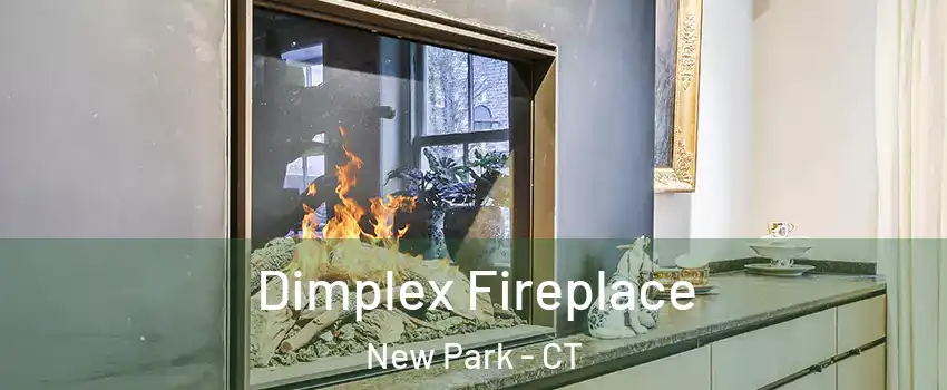 Dimplex Fireplace New Park - CT
