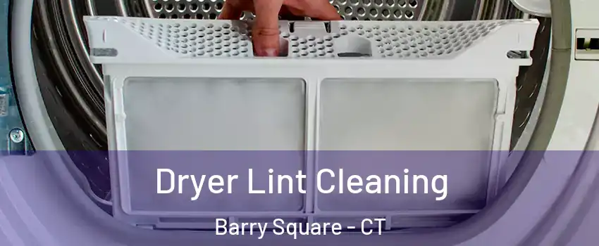 Dryer Lint Cleaning Barry Square - CT