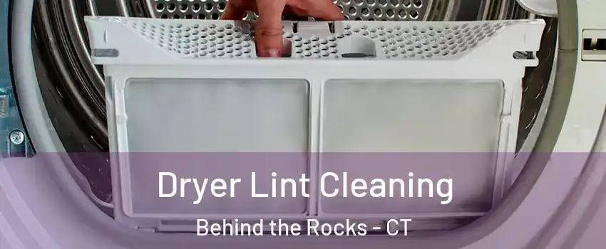 Dryer Lint Cleaning Behind the Rocks - CT