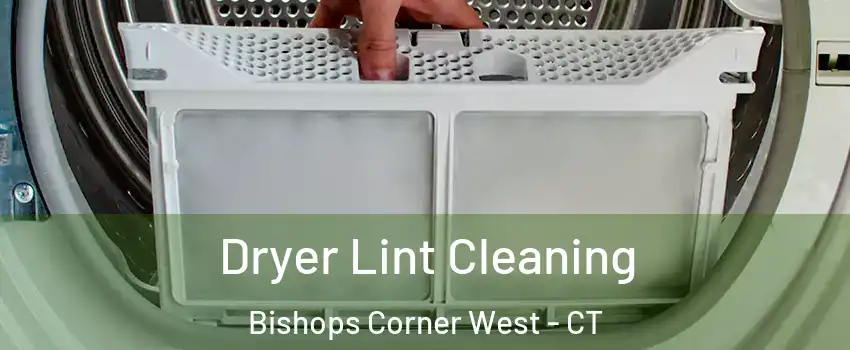 Dryer Lint Cleaning Bishops Corner West - CT