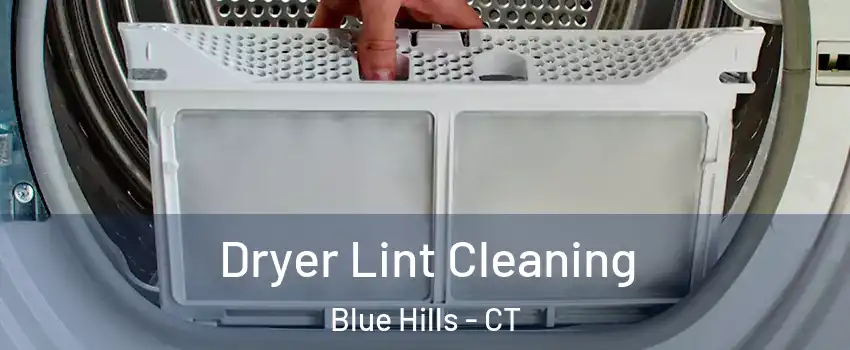Dryer Lint Cleaning Blue Hills - CT