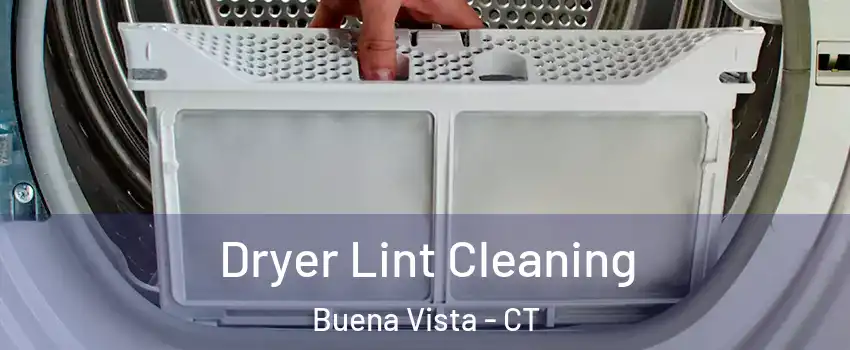Dryer Lint Cleaning Buena Vista - CT