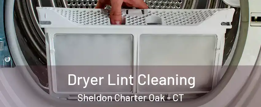 Dryer Lint Cleaning Sheldon Charter Oak - CT