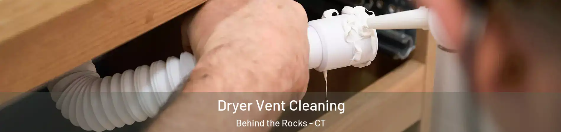 Dryer Vent Cleaning Behind the Rocks - CT