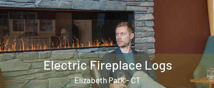 Electric Fireplace Logs Elizabeth Park - CT