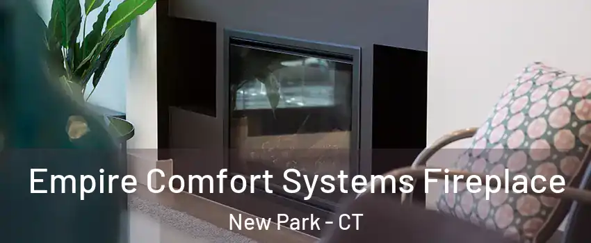 Empire Comfort Systems Fireplace New Park - CT