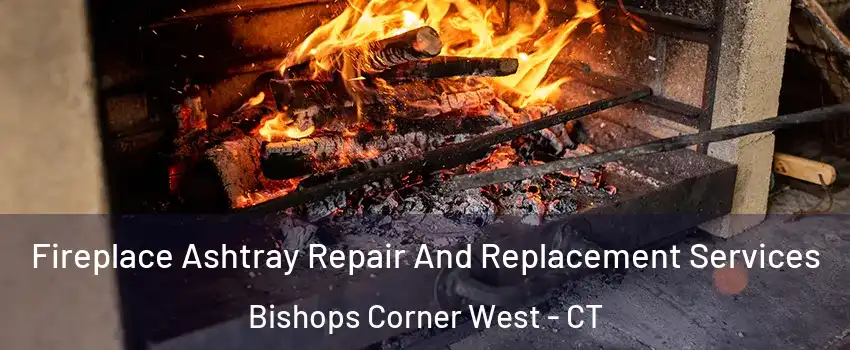 Fireplace Ashtray Repair And Replacement Services Bishops Corner West - CT