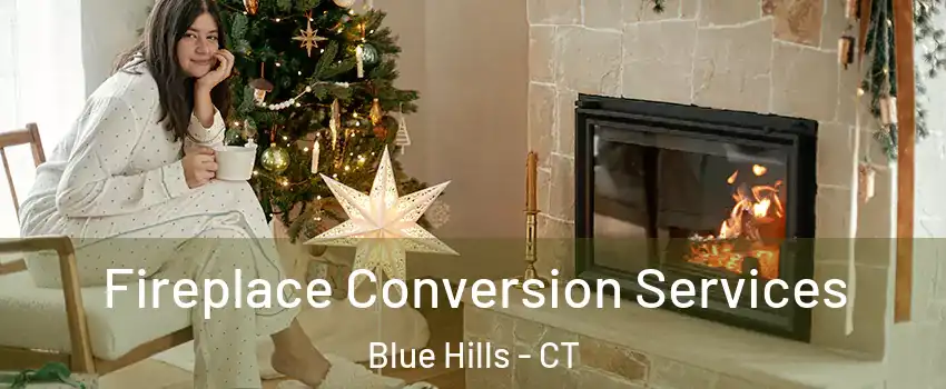 Fireplace Conversion Services Blue Hills - CT