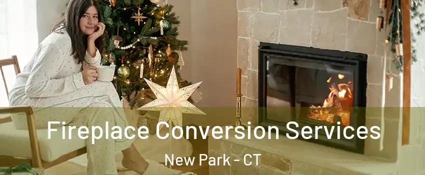 Fireplace Conversion Services New Park - CT