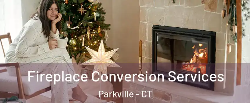 Fireplace Conversion Services Parkville - CT