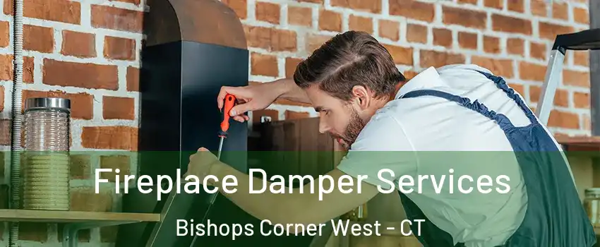 Fireplace Damper Services Bishops Corner West - CT