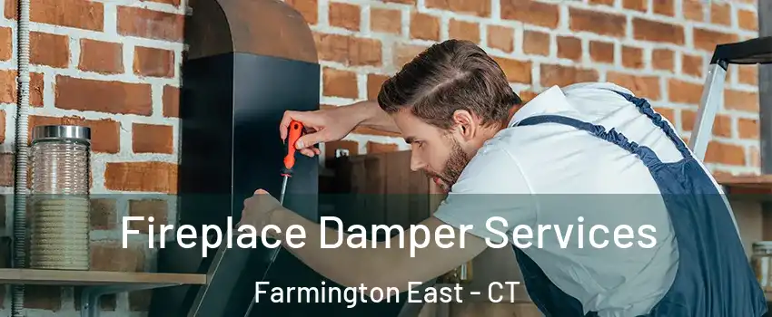 Fireplace Damper Services Farmington East - CT
