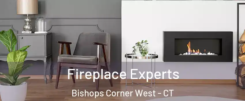 Fireplace Experts Bishops Corner West - CT