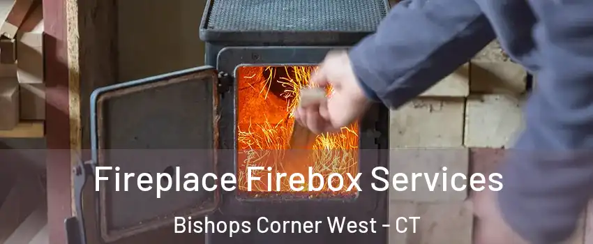 Fireplace Firebox Services Bishops Corner West - CT