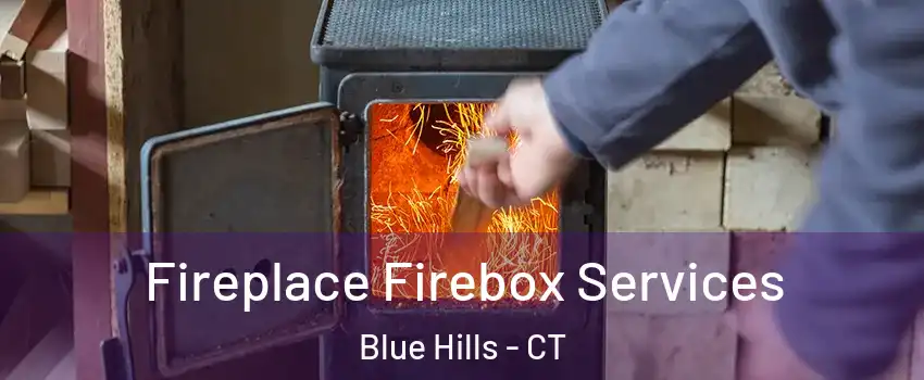 Fireplace Firebox Services Blue Hills - CT