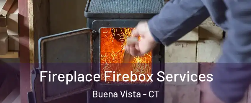 Fireplace Firebox Services Buena Vista - CT