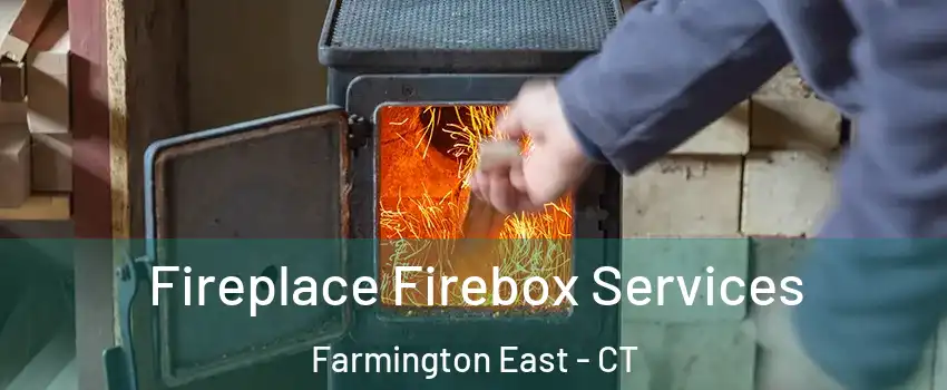 Fireplace Firebox Services Farmington East - CT
