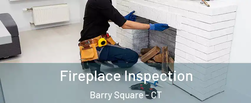 Fireplace Inspection Barry Square - CT