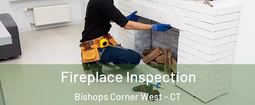 Fireplace Inspection Bishops Corner West - CT
