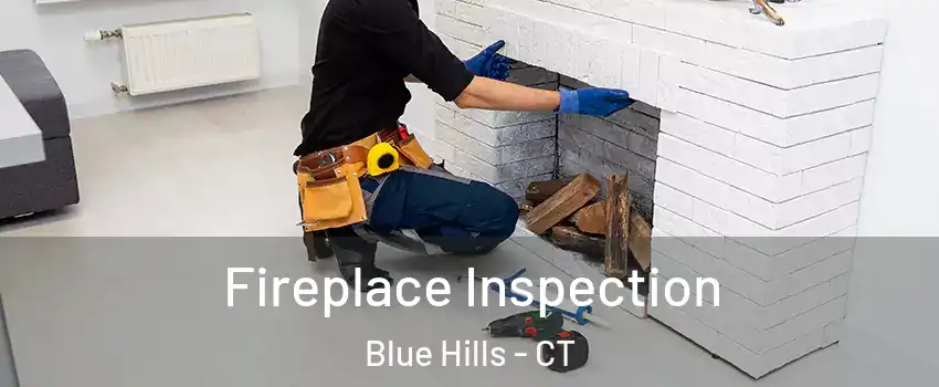 Fireplace Inspection Blue Hills - CT