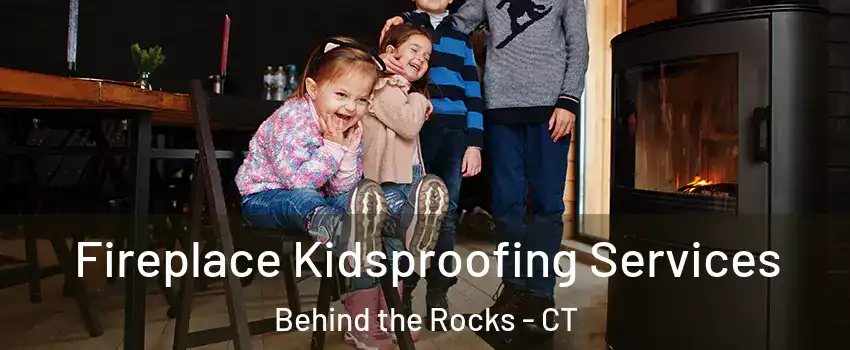 Fireplace Kidsproofing Services Behind the Rocks - CT