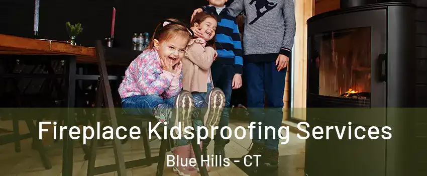 Fireplace Kidsproofing Services Blue Hills - CT