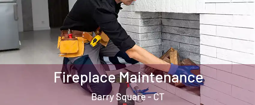 Fireplace Maintenance Barry Square - CT