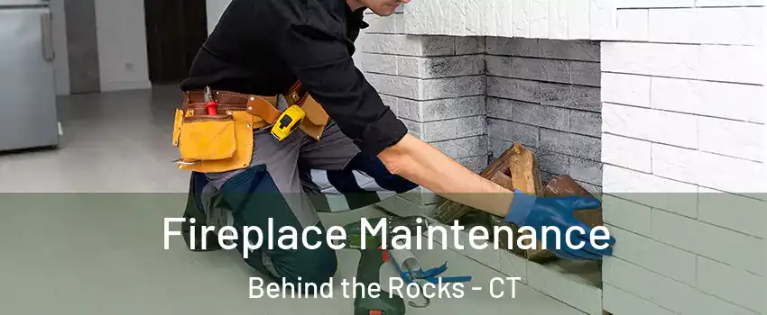 Fireplace Maintenance Behind the Rocks - CT