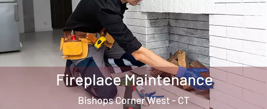 Fireplace Maintenance Bishops Corner West - CT