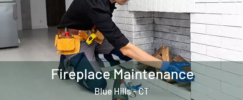 Fireplace Maintenance Blue Hills - CT