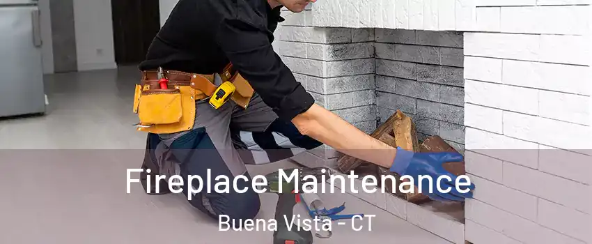 Fireplace Maintenance Buena Vista - CT