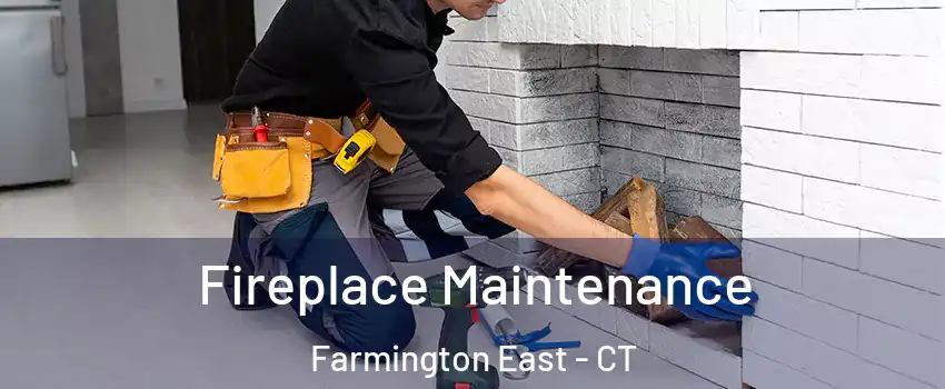 Fireplace Maintenance Farmington East - CT