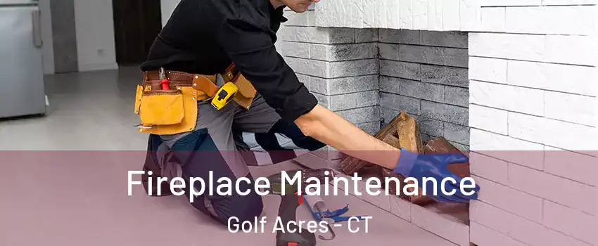 Fireplace Maintenance Golf Acres - CT
