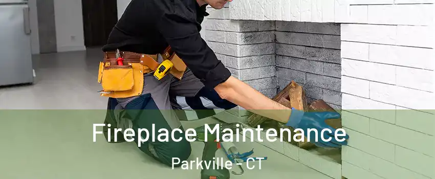 Fireplace Maintenance Parkville - CT