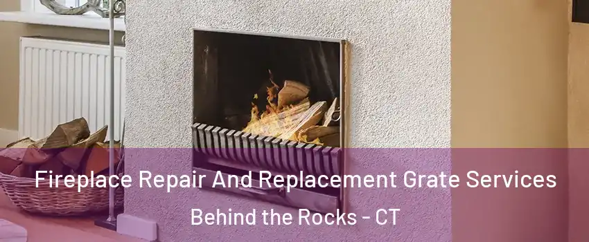 Fireplace Repair And Replacement Grate Services Behind the Rocks - CT