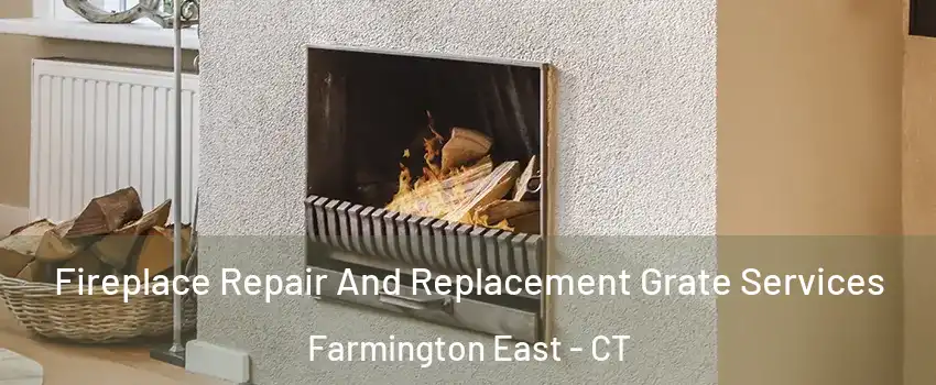 Fireplace Repair And Replacement Grate Services Farmington East - CT