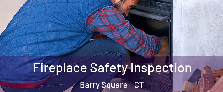 Fireplace Safety Inspection Barry Square - CT