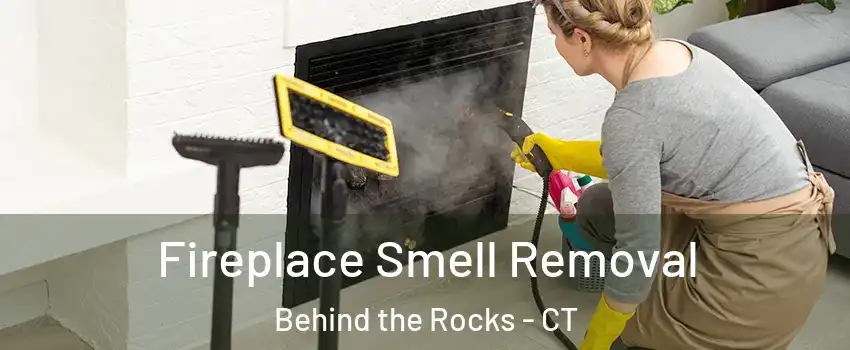Fireplace Smell Removal Behind the Rocks - CT