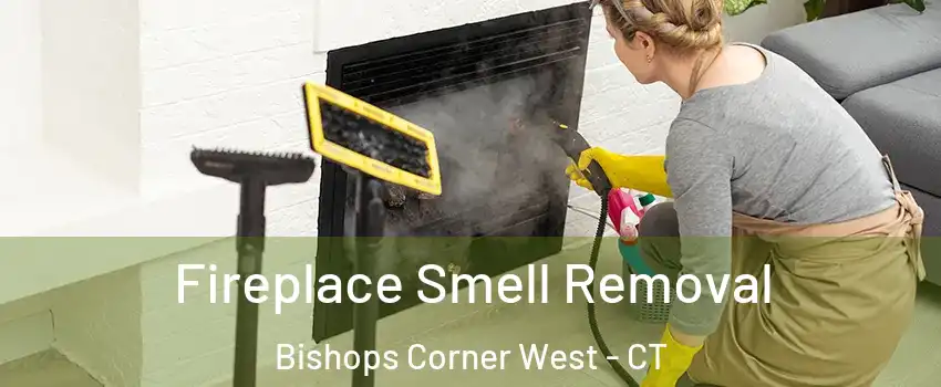 Fireplace Smell Removal Bishops Corner West - CT