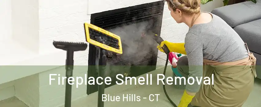 Fireplace Smell Removal Blue Hills - CT