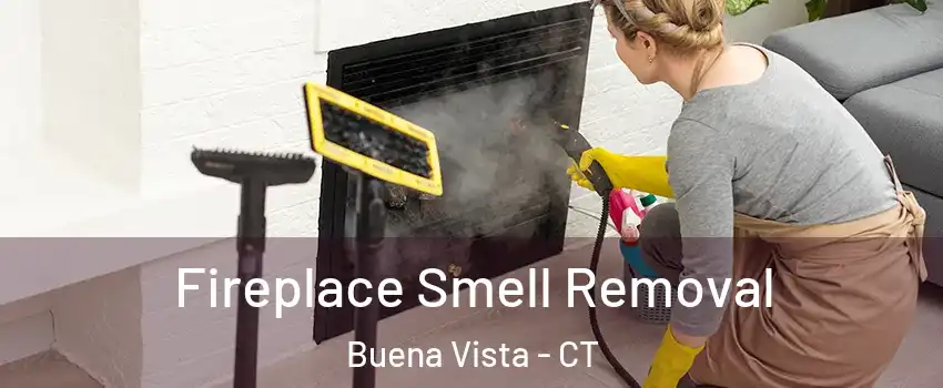 Fireplace Smell Removal Buena Vista - CT