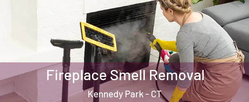 Fireplace Smell Removal Kennedy Park - CT