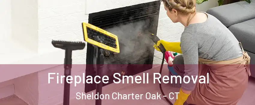 Fireplace Smell Removal Sheldon Charter Oak - CT