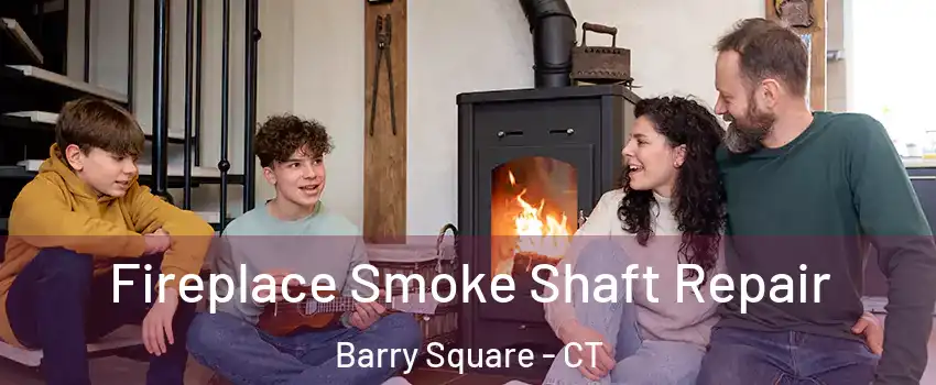 Fireplace Smoke Shaft Repair Barry Square - CT