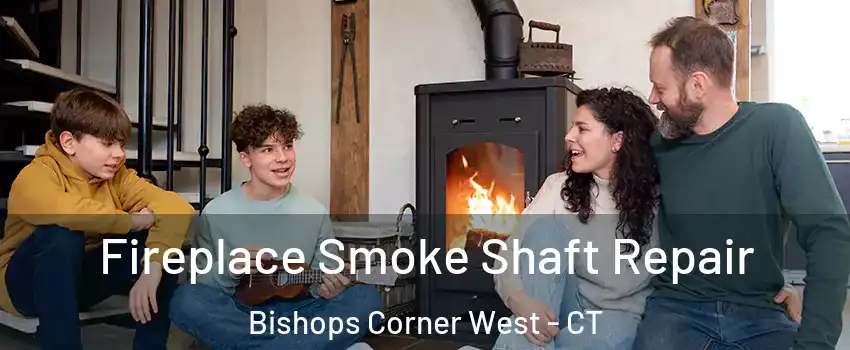 Fireplace Smoke Shaft Repair Bishops Corner West - CT
