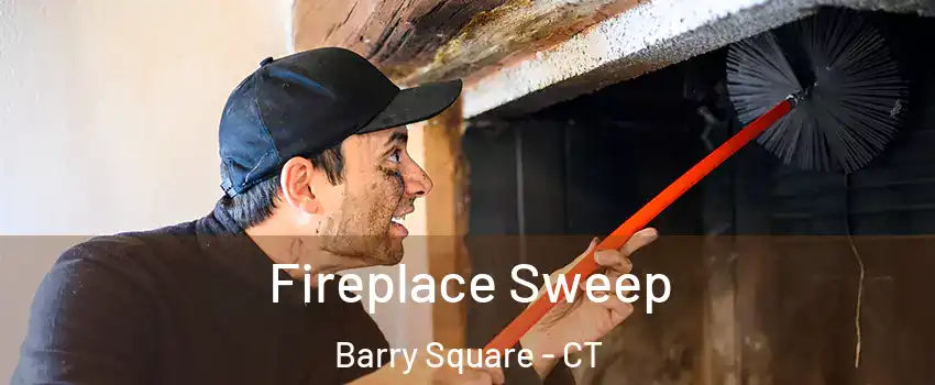 Fireplace Sweep Barry Square - CT