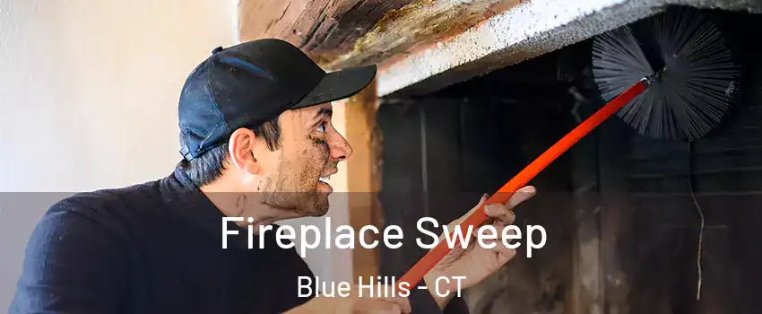 Fireplace Sweep Blue Hills - CT