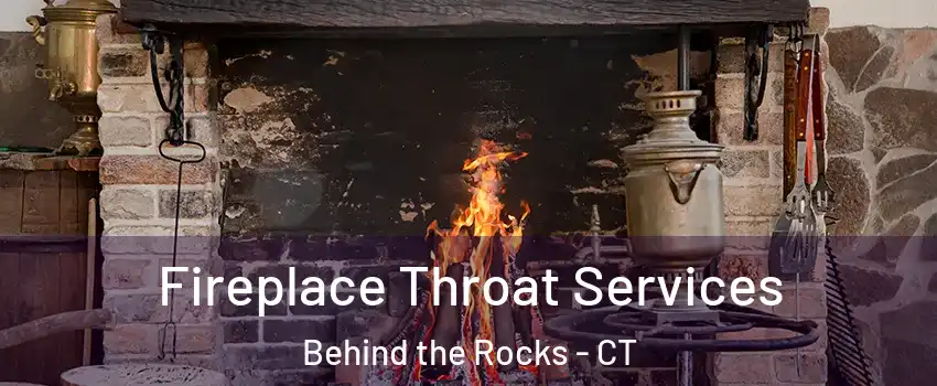 Fireplace Throat Services Behind the Rocks - CT
