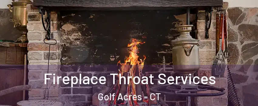 Fireplace Throat Services Golf Acres - CT