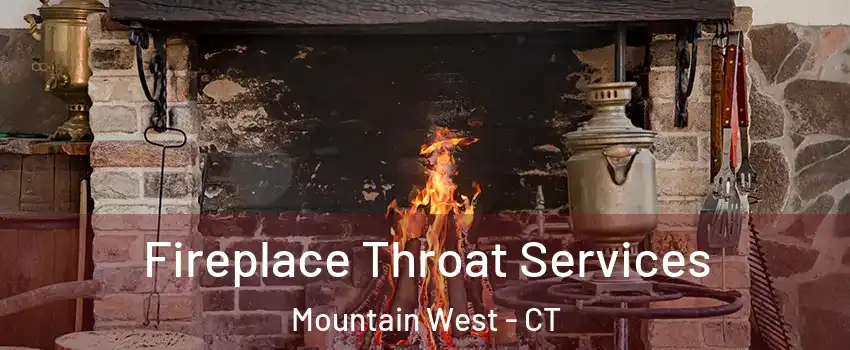 Fireplace Throat Services Mountain West - CT